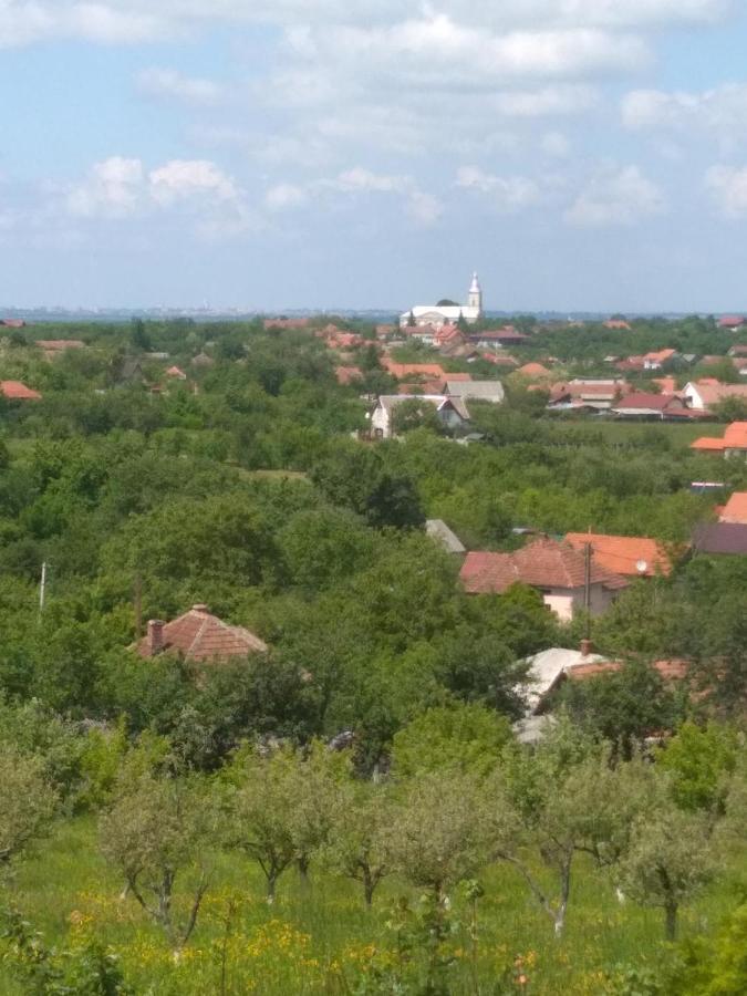 Vis Pension Viile Satu Mare Eksteriør billede